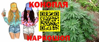 ALPHA PVP Коммунар