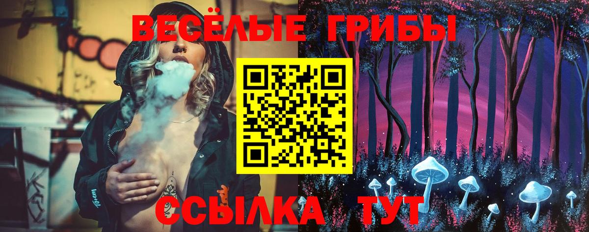Клин  Псилоцибиновые грибы Cubensis  Вход с VPN 